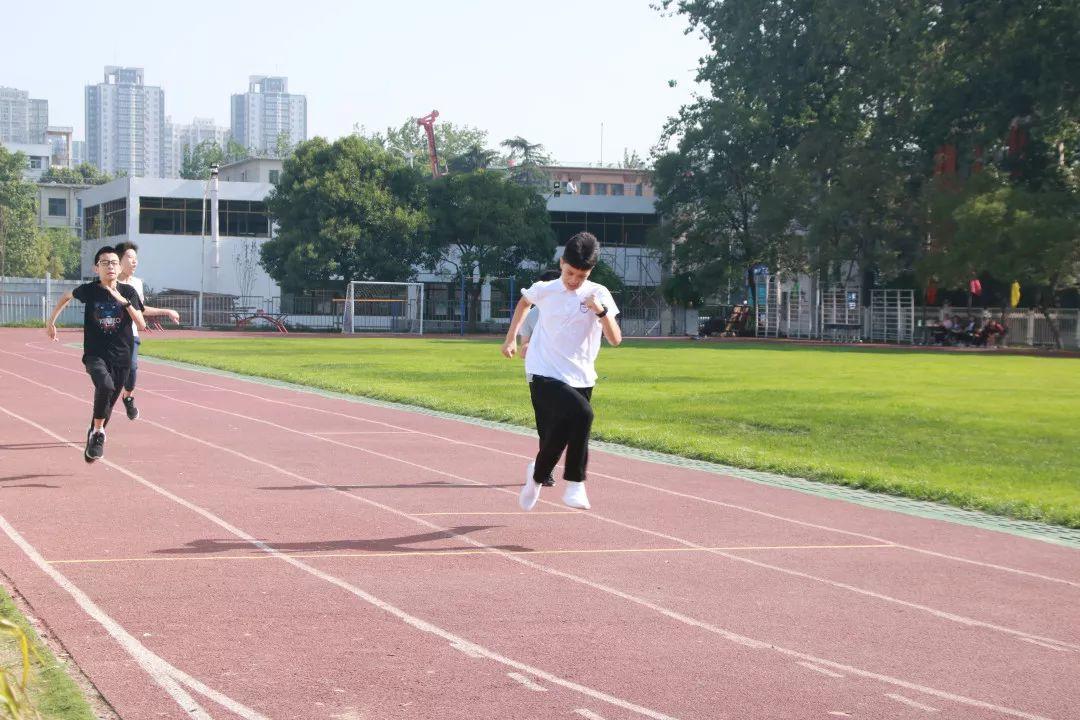 太阳集团81068网址都会森林学校2019年小升初招生事情计划宣布啦~