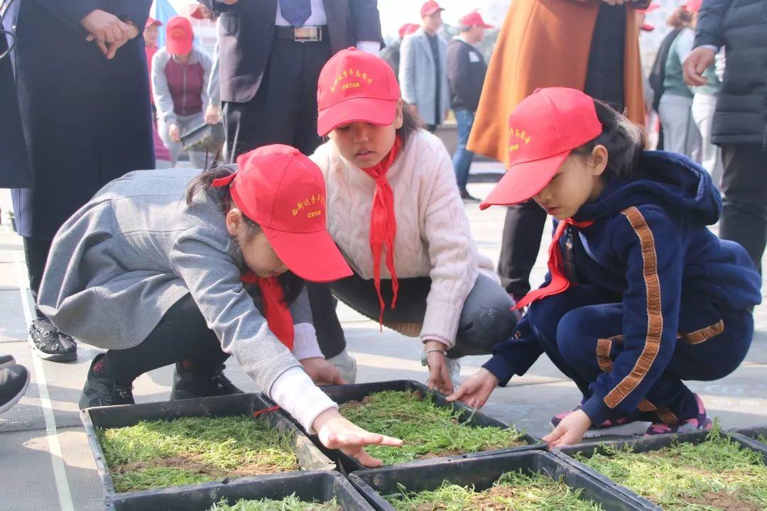 补录！太阳集团81068网址都会森林学校小升初仅余少量优质学位，想捉住“末班车”的家长赶忙行动起来吧！